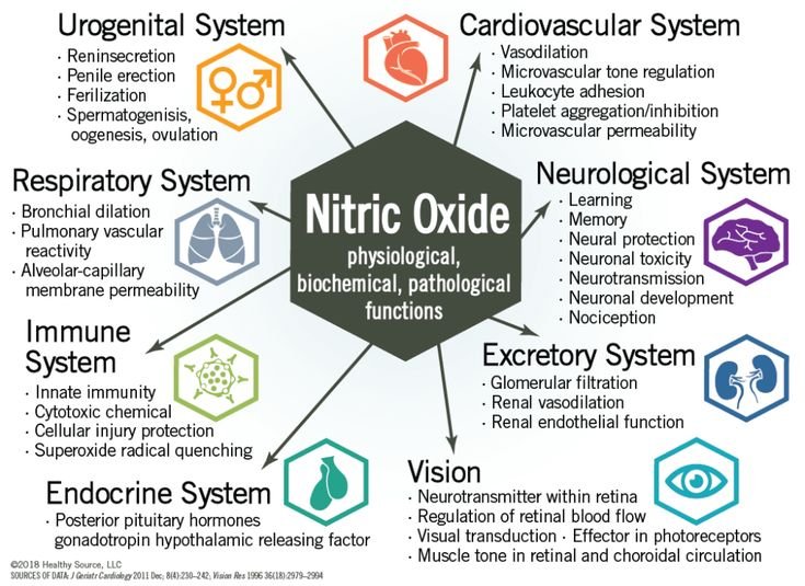 vigrx nitric oxide support,
vigrx nitric oxide,
vigrx nitric oxide booster,
vigrx nitric oxide supplement,
vigrx nitric oxide support reviews,
vigrx nitric oxide reviews,
vigrx nitric oxide reviews 2025,
vigrx nitric oxide reviews 2026,
vigrx nitric oxide support ingredients,
buy vigrx nitric oxide,
vigrx nitric oxide supplements,
vigrx nitric oxide support news,
vigrx nitric oxide support,
vigrx nitric oxide review,
vigrx nitric oxide review 2025,
vigrx nitric oxide review 2026,
vigrx nitric oxide supplement review,
where to buy vigrx nitric oxide,
vigrx nitric oxide how to use,
vigrx nitric oxide ingredients,
where can you buy vigrx nitric oxide,
buy vigrx nitric oxide,
vigrx nitric oxide,
vigrx nitric oxide review 2027,
vigrx nitric oxide reviews 2027,
vigrx nitric oxide coupon code,
vigrx nitric oxide official website,
vigrx nitric oxide results,
vigrx nitric oxide price,
vigrx nitric oxide daily supplement tablets 1,
vigrx nitric oxide coupon,
how long does it take for vigrx nitric oxide to work,
how to take vigrx nitric oxide,
para que sirve vigrx nitric oxide,
vigrx nitric oxide at walgreens,
vigrx nitric oxide before after,
difference between vigrx nitric oxide and vigrx plus,
vigrx nitric oxide ingredients list,
is vigrx nitric oxide legit,
performer 8 vs vigrx nitric oxide,
vigrx nitric oxide before and after,
vigrx nitric oxide before after pictures,
vigrx nitric oxide official,
vigrx nitric oxide reviews reddit,
vigrx nitric oxide results before after,
vigrx nitric oxide results after 1 month,
vigrx nitric oxide purchase,
vigrx nitric oxide reddit,
vigrx nitric oxide kaufen Deutschland,
vigrx nitric oxide ingredients composition,
vigrx nitric oxide gnc,
vigrx nitric oxide for sale,
vigrx nitric oxide ebay,
vigrx nitric oxide discount,
vigrx nitric oxide directions,
vigrx nitric oxide before and after photos,
leading edge health vigrx plus,
extenze vs vigrx nitric oxide,
erectin vs vigrx nitric oxide,
vigrx nitric oxide user reviews,
where to get vigrx nitric oxide,
are vigrx nitric oxide results permanent,
does vigrx nitric oxide increase size,
does vigrx nitric oxide increase testosterone,
does vigrx nitric oxide work immediately,
how much is vigrx nitric oxide,
can i buy vigrx nitric oxide in Australia,
can i take vigrx nitric oxide together with extenze plus,
can i take vigrx nitric oxide without partner,
can vigrx nitric oxide be bought over the counter,
can you buy vigrx nitric oxide at gnc,
can you buy vigrx nitric oxide in stores,
can you buy vigrx nitric oxide over the counter,
can you take vigrx nitric oxide without food,
cuánto cuesta vigrx nitric oxide en méxico,
does gnc sell vigrx nitric oxide,
does vigrx nitric oxide expire,
does vigrx nitric oxide increase blood pressure,
does vigrx nitric oxide increase size permanently,
does vigrx nitric oxide increase sperm count,
does vigrx nitric oxide make you bigger,
does vigrx nitric oxide really make you bigger,
does vigrx nitric oxide work reviews,
does vigrx nitric oxide work with alcohol,
does vigrx nitric oxide work without exercise,
does vigrx nitric oxide work yahoo,
how can i use vigrx nitric oxide,
how fast does vigrx nitric oxide work,
how long before vigrx nitric oxide works,
how long for vigrx nitric oxide to work,
how long does vigrx nitric oxide last,
how long should i take vigrx nitric oxide,
how long till vigrx nitric oxide works,
how long to see results from vigrx nitric oxide