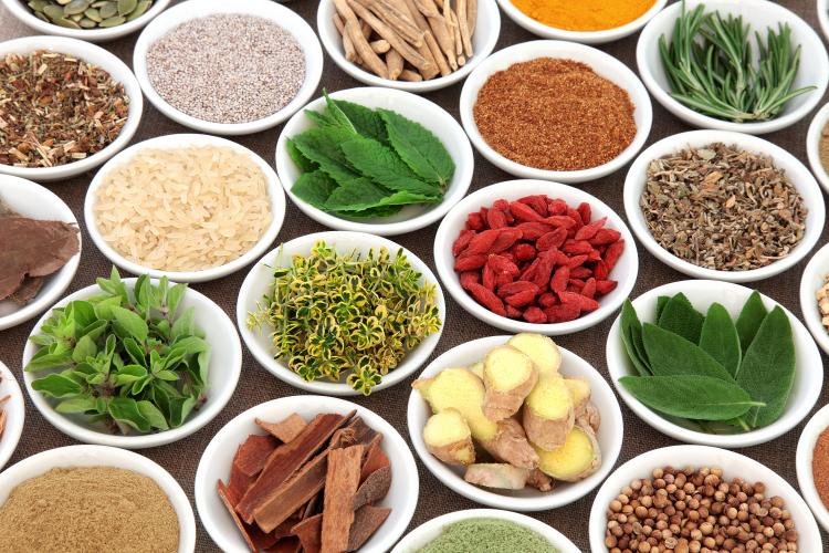 natural health source, natural health source review, natural health source reviews, natural health source 2025, natural health source 2026, natural health source 2027, natural health source 2028, natural health source 2029, natural health source 2030, natural health source review 2025, natural health source review 2026, natural health source review 2027, natural health source review 2028, natural health source review 2029, natural health source review 2030, natural health source reviews 2025, natural health source reviews 2026, natural health source reviews 2027, natural health source reviews 2028, natural health source reviews 2029, natural health source reviews 2030, natural health source clinic, natural health source discount code, natural health source reviews, natural health source clinic tualatin, natural health source com, natural health source coupon, natural health source coupons, natural health source digestive enzyme renewal, natural health source gift card, natural health source news, natural health source pro solutions coupon, natural health source reward dollars, natural health source skinception, natural health source natural health source 60 tablets, volume pills natural health source, natural health source how to use, natural health source ingredients, where can you buy natural health source, buy natural health source, natural health source review 2031, natural health source reviews 2031, natural health source coupon code, natural health source official website, natural health source results, natural health source price, natural health source daily supplement tablets 1, natural health source coupon 2026, how long does it take for natural health source to work, how to take natural health source, para que sirve natural health source, natural health source at walgreens, natural health source before after, difference between vigrx and natural health source, natural health source ingredients list, is natural health source legit, performer 8 vs natural health source, natural health source before and after, natural health source before after pictures, natural health source official, natural health source reviews reddit, natural health source results before after, natural health source results after 1 month, natural health source purchase, natural health source reddit, natural health source kaufen Deutschland, natural health source ingredients composition, natural health source gnc, natural health source for sale, natural health source ebay, natural health source discount, natural health source directions, natural health source before and after photos, leading edge health natural health source, extenze vs natural health source, erectin vs natural health source, natural health source user reviews, where to get natural health source, are natural health source results permanent, does natural health source increase size, does natural health source increase testosterone, does natural health source work immediately, how much is natural health source, can i buy natural health source in Australia, can i take natural health source together with extenze plus, can i take natural health source without partner, can natural health source be bought over the counter, can you buy natural health source at gnc, can you buy natural health source in stores, can you buy natural health source over the counter, can you take natural health source without food, cuánto cuesta natural health source en méxico, does gnc sell natural health source, does natural health source expire, does natural health source increase blood pressure, does natural health source increase size permanently, does natural health source increase sperm count, does natural health source make you bigger, does natural health source really make you bigger, does natural health source work reviews, does natural health source work with alcohol, does natural health source work without exercise, does natural health source work yahoo, how can i use natural health source, how fast does natural health source work, how long before natural health source works, how long for natural health source to work, how long does natural health source last, how long should i take natural health source, how long till natural health source works, how long to see results from natural health source